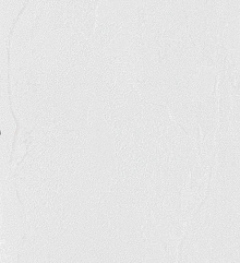 Серые обои в прихожую Bernardo Bartalucci Gaga  84284-15