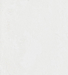 Серые обои в прихожую Bernardo Bartalucci Gaga  84284-9